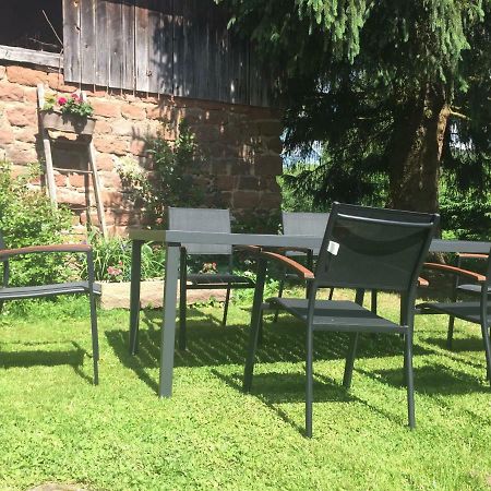 Apartmán Meubles De Tourisme Heidelbeere Dambach Exteriér fotografie