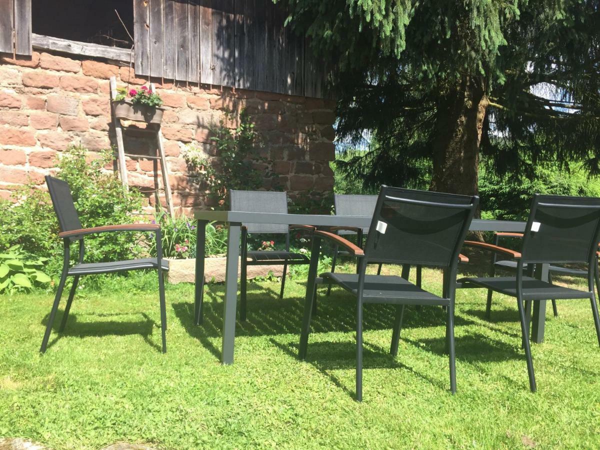 Apartmán Meubles De Tourisme Heidelbeere Dambach Exteriér fotografie