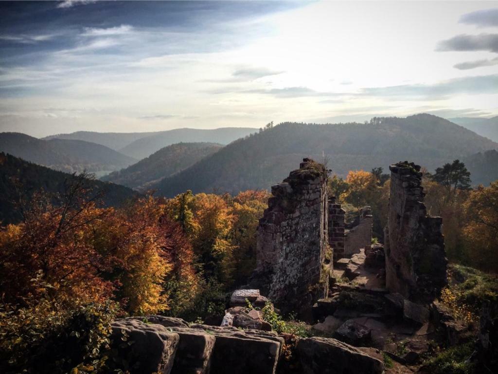 Apartmán Meubles De Tourisme Heidelbeere Dambach Exteriér fotografie